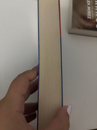 Libro Antes de diciembre