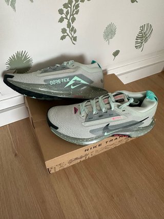 Zapatillas Nike Pegasus Trail 5 Gore-Tex Talla 42