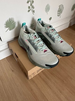 Zapatillas Nike Pegasus Trail 5 Gore-Tex Talla 42