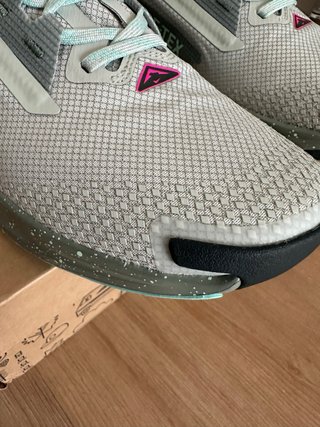 Zapatillas Nike Pegasus Trail 5 Gore-Tex Talla 42