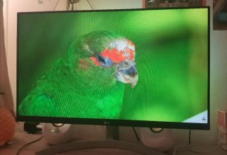 Monitor LG 27 Full HD 75Hz + Luces
