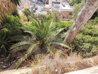Solar en venta en Cala Major en Palma de Mallorca