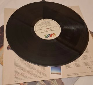 Vinilo Presuntos Implicados El Pan y la Sal