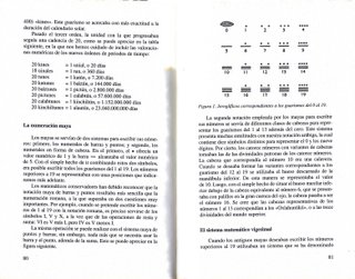 Los Mayas - Carter Scott, tapa dura
