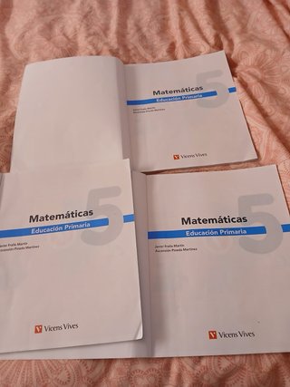 Matemáticas, 5 Educación Primaria, Comunidad Zoom