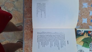 Lote 7 libros de los cinco