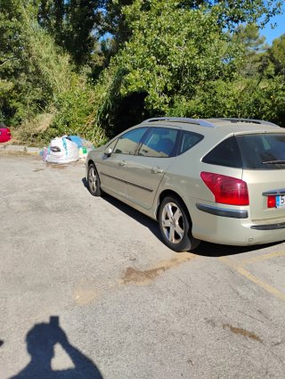 Peugeot 407 2005