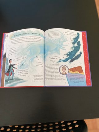Pocket Potters - Harry Potter (Spanish Edition)