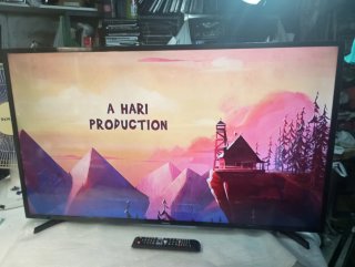 Samsung Smart TV 48 Negro