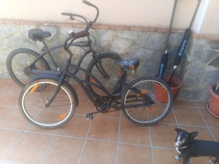 Bicicleta Junior Americana