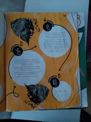 Ciencias sociales 6 Primaria : [Madrid]