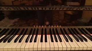 Piano de cola negro young chang