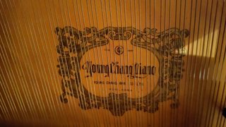 Piano de cola negro young chang