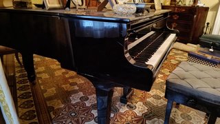 Piano de cola negro young chang