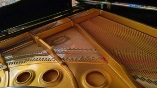 Piano de cola negro young chang