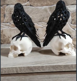 Figuras Cuervos 3D sobre Calaveras (2 uds)
