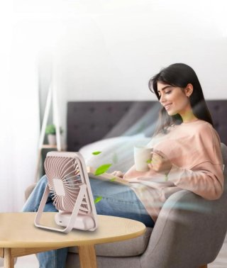 Ventilatore Ricaricabile Rosa