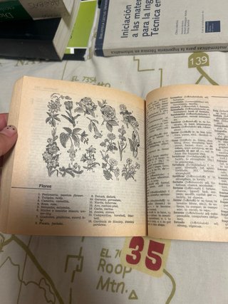 Diccionario inglés