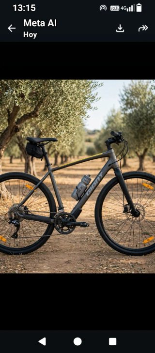 Bicicleta Giant Toughroad SLR 2 -29" HIBRIDA/TREKI