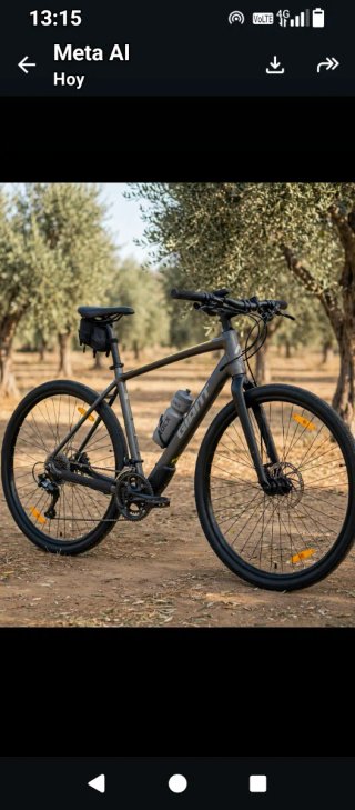 Bicicleta Giant Toughroad SLR 2 -29" HIBRIDA/TREKI
