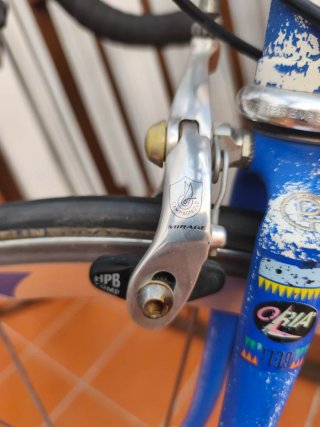 Bicicleta Pinarello Azul