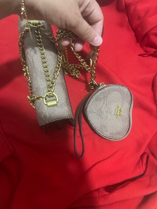 Bolso y billeteras Coach beige/marrón