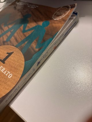 Lengua y Literatura, 1 Bachhillerato