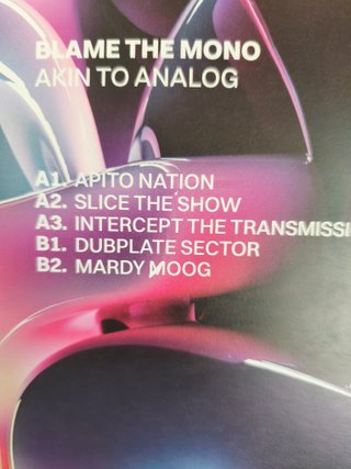 Blame The Mono – Akin To Analog