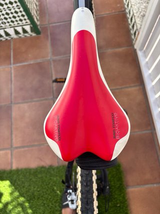 Bicicleta de Montaña