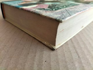 La ciudad asesinada. Libro