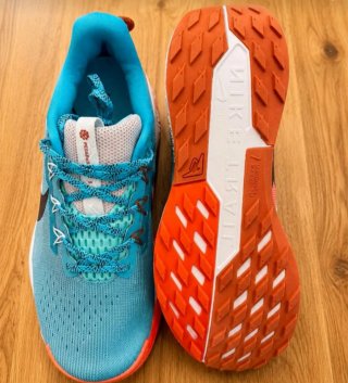 Zapatillas Nike Pegasus Trail 5