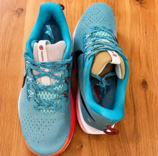 Zapatillas Nike Pegasus Trail 5