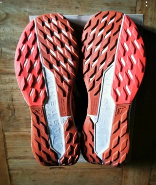 Zapatillas Nike Pegasus Trail 5