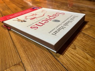 Sapiens. Una historia gráfica.