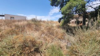 Se vende parcela con una casa antigua urbana
