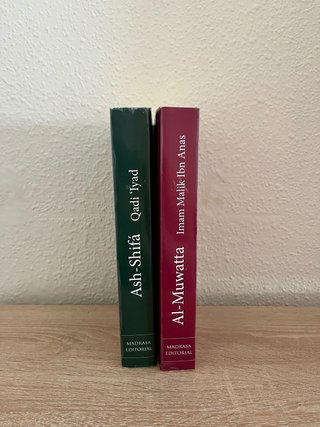 Lote libros islamicos nuevos