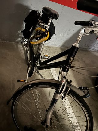 Bicicleta Koga Miyata Mujer incluso Funda