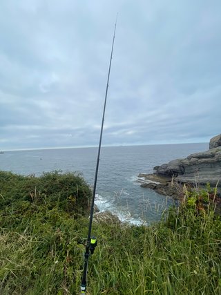 Caña Surfcasting + Carrete 14000