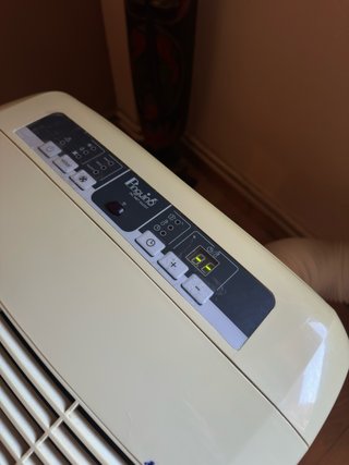 Pingüino DeLonghi 9800 BTU/h