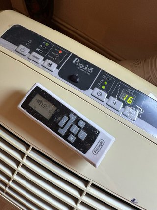 Pingüino DeLonghi 9800 BTU/h