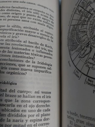 El Iris de Tus Ojos Revela Tu Salud