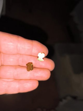 Pendientes Oso Tous Dorados