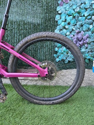 MTB Transition Smuggler Carbon 29