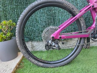 MTB Transition Smuggler Carbon 29