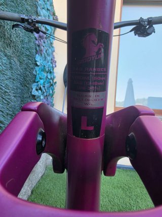 MTB Transition Smuggler Carbon 29
