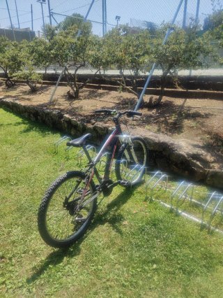 Bicicleta de Montaña