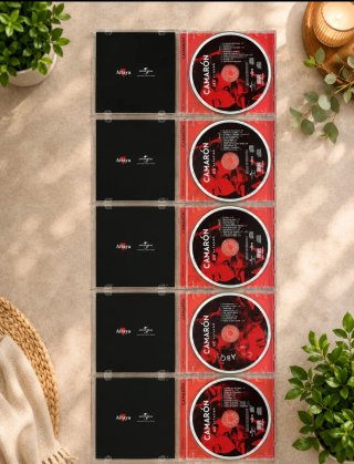 Lote 13 CDs Flamenco y Pop Español Originales