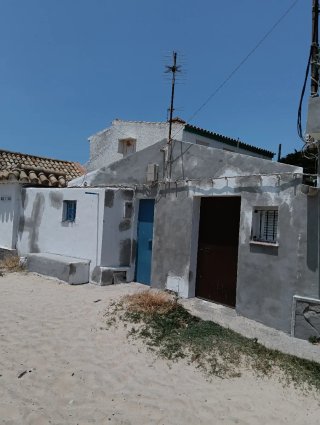Pintor Profesional: Pintura, Electricidad y Obras