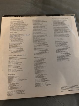 Bettina Wegner - Sind so kleine Hände