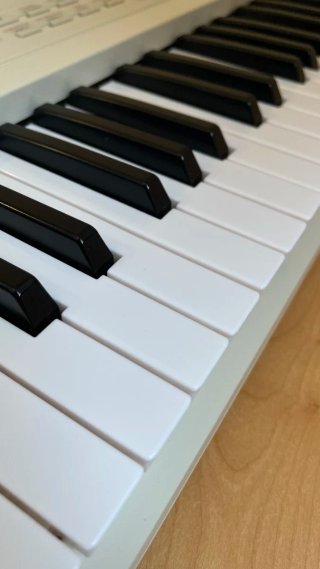 Piano/Teclado Yamaha EZ-310